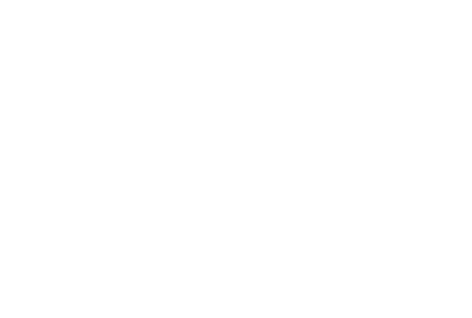 志。それは原動力と推進力。